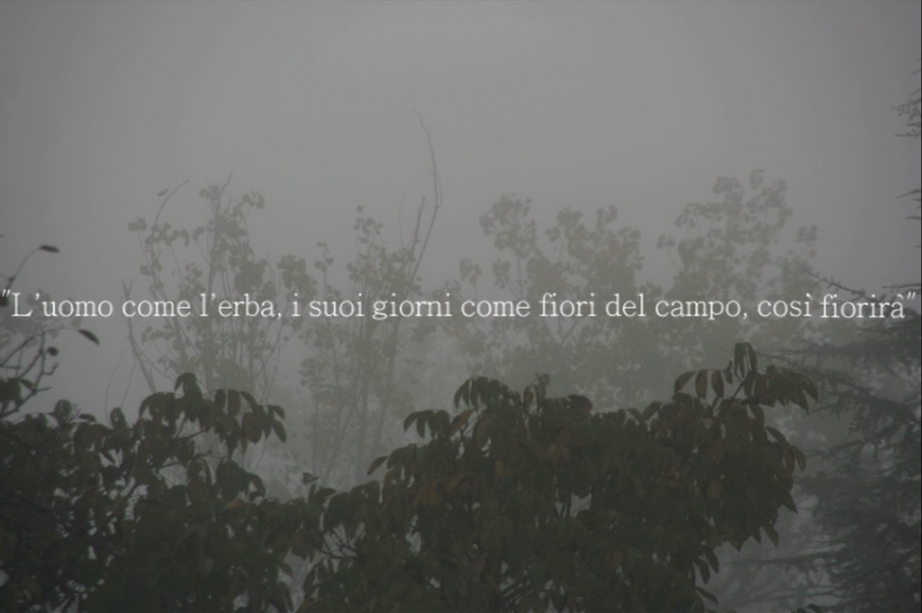 02L'uomo come l'erba, suoi giorni come fiori del campo, cosi fiorirà,video still rit.