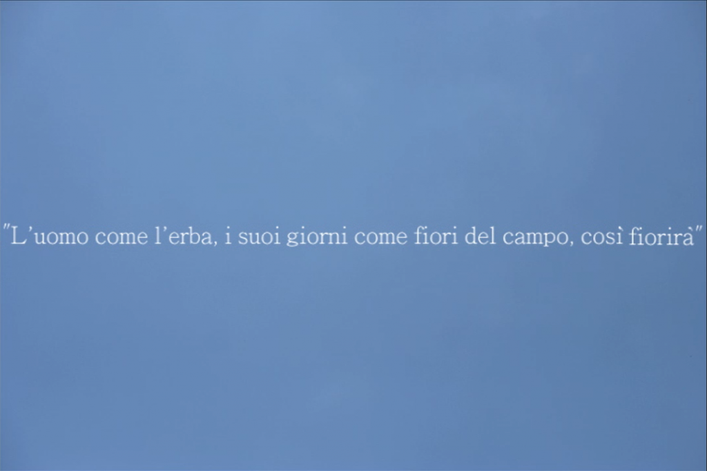 Man as the grass, his days like flowers of the field, so he will flowrish, videostil(2)