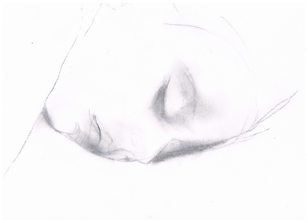 Digitalizzato_20250207