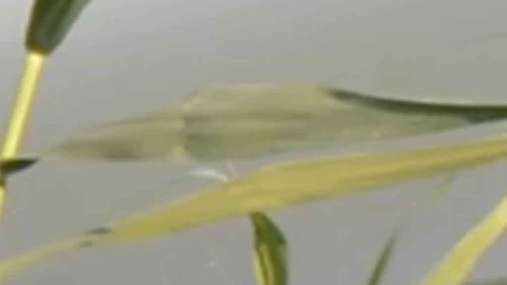 vlcsnap-2018-09-06-07h52m28s167