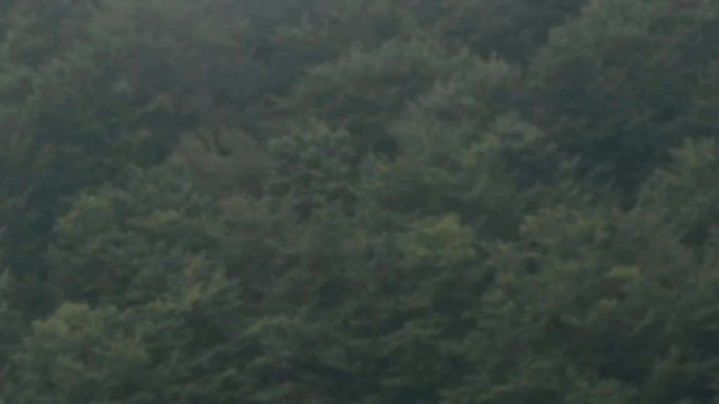 vlcsnap-2018-09-06-08h02m48s810