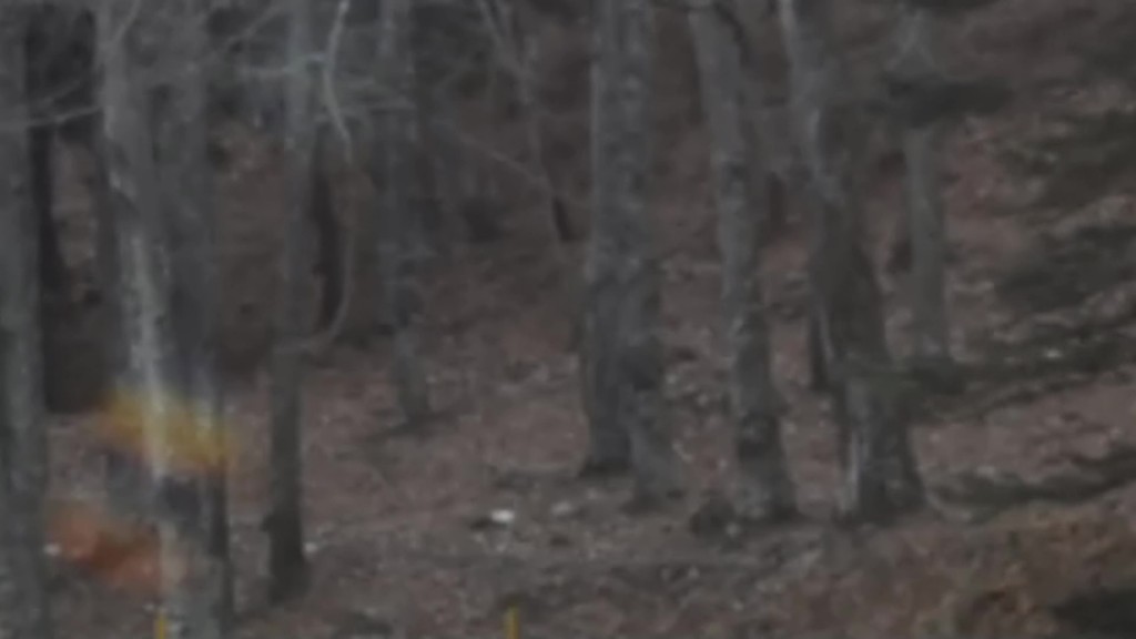 vlcsnap-2018-09-06-08h12m29s554